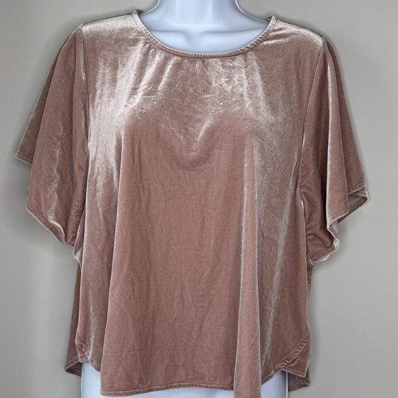Madewell Tops - Madewell velvet butterfly sleeve top Blush Dusty Rose Size XL